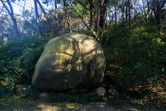 楷书结字的黄金律——启功给你讲书法