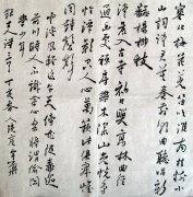 朱宇华7