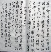 朱宇华5