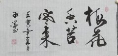 叶翰阳