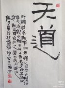 韩维金