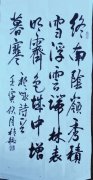 刘桂毅