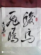 暴志华