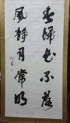 孙向东
