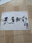 褚建明