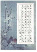 韩昌锋