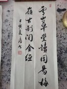 魏守用