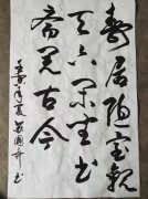 苏国奇