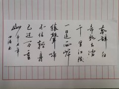 田涛
