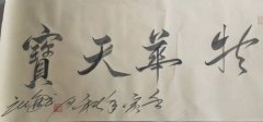 庄士进