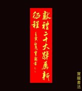 阎宝龙