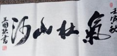 王国强