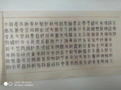 金海