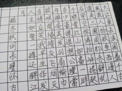 张高毅