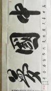 陈荣圆