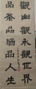 崔苏龙