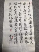 俞孝彤