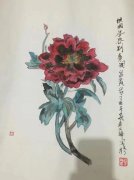 秦卫锋