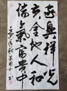 苏国奇