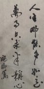 陈晓明