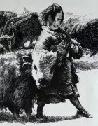 向以桦