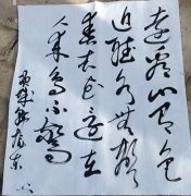 韩振东