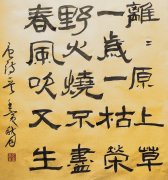 王金星