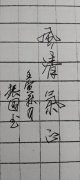 刘振国