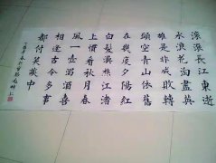 赵强