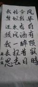 赵志强