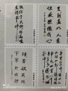 吴新亚