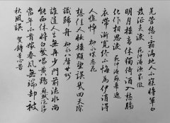 林莲意