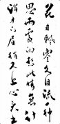 陈云鹏