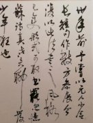陈振华