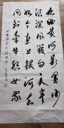 王建录