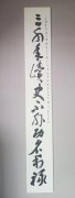 杨春