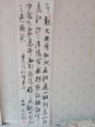 杨小斌