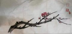夏涛