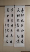 窦志孟
