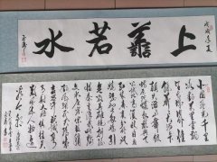 龙举目