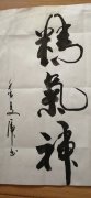 秦学虎