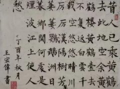 王宏伟