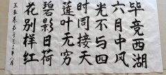 王亚养