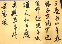 罗浚睿