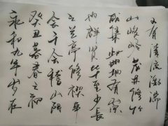 金连洁