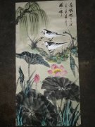 杨一茹