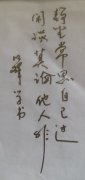 赵明峰