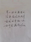 张小亚