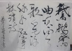 赵卫东