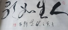 谷照轩